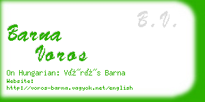 barna voros business card